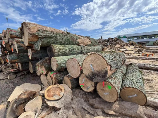 Quercia – legname tondo – camion