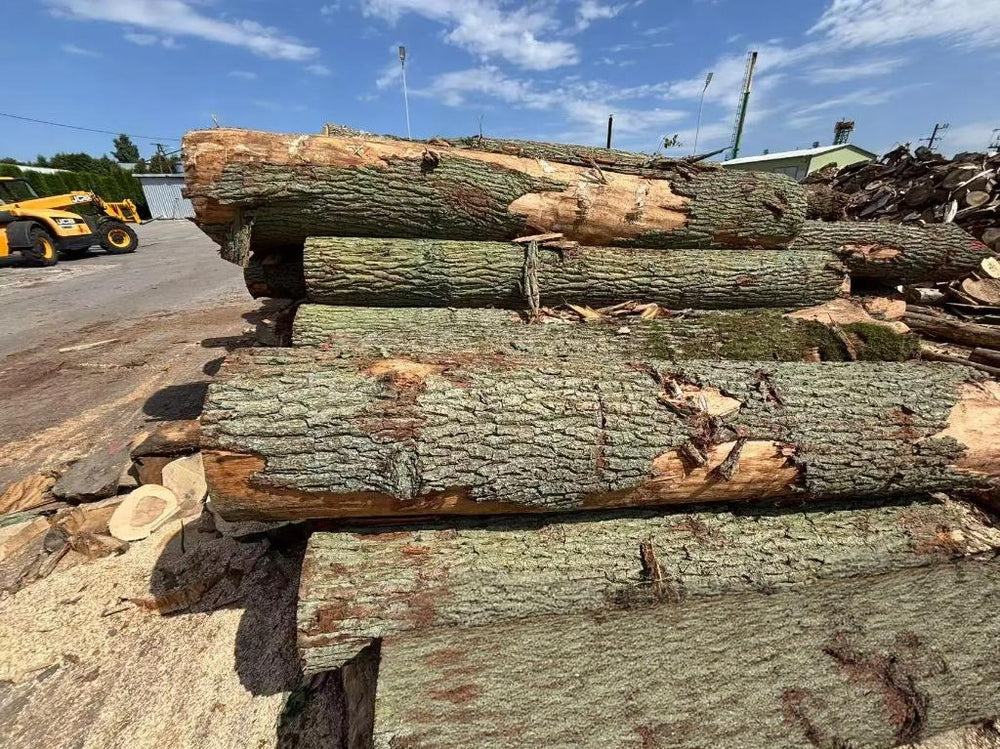 Quercia – legname tondo – camion