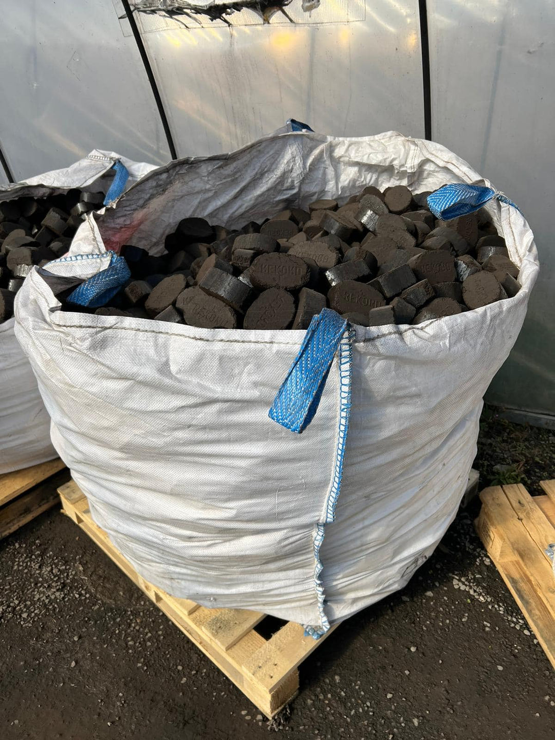 RECORD 500 kg di bricchette di carbone